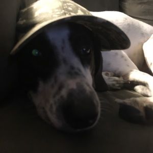 Meet your Posher, Mandy